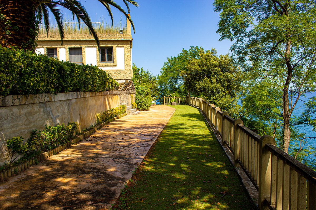 Backyard and garden